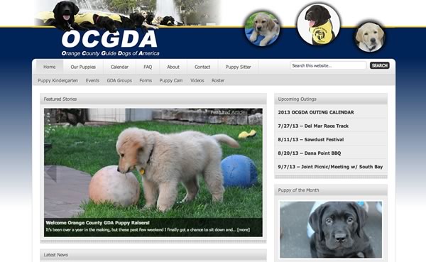 OCGDA Website