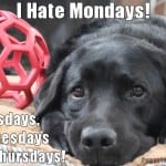 Stetson Hates Mondays!