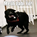 Meth lab, Yo!