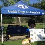 Pups Tagg and Duncan at GDA Booth