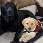 Stetson and Adelle Down Stay