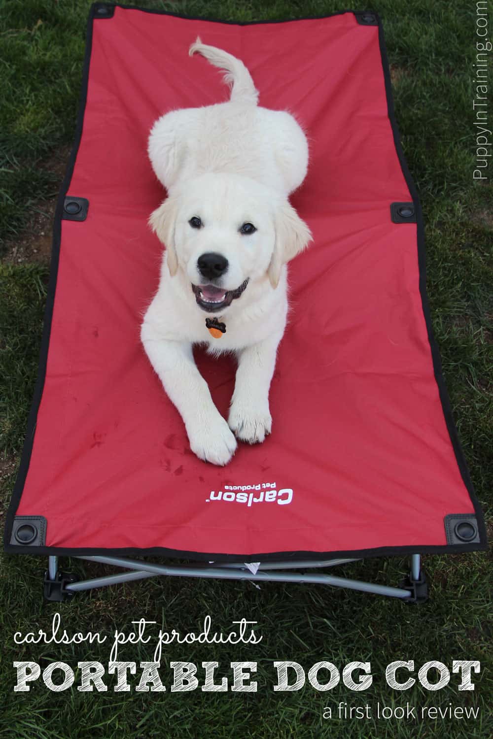 Carlson portable pet outlet bed