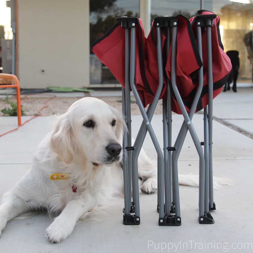 Folding dog outlet cot