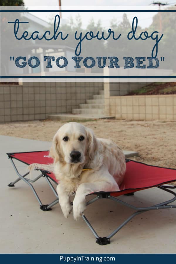 How to train a dog to go to outlet bed