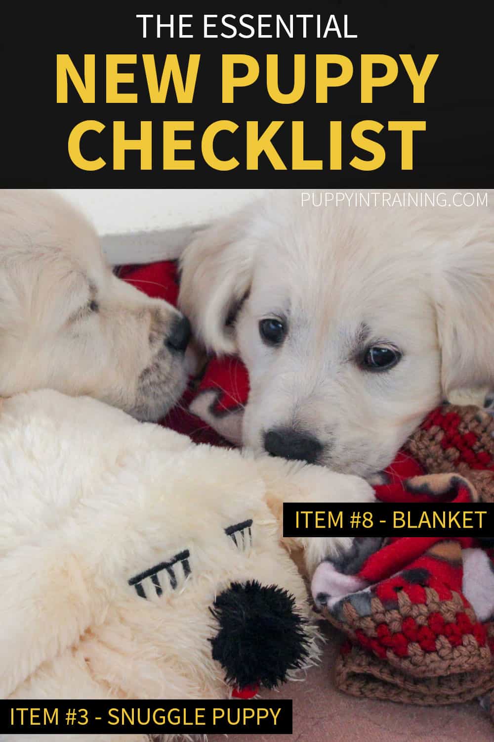 essential puppy supplies