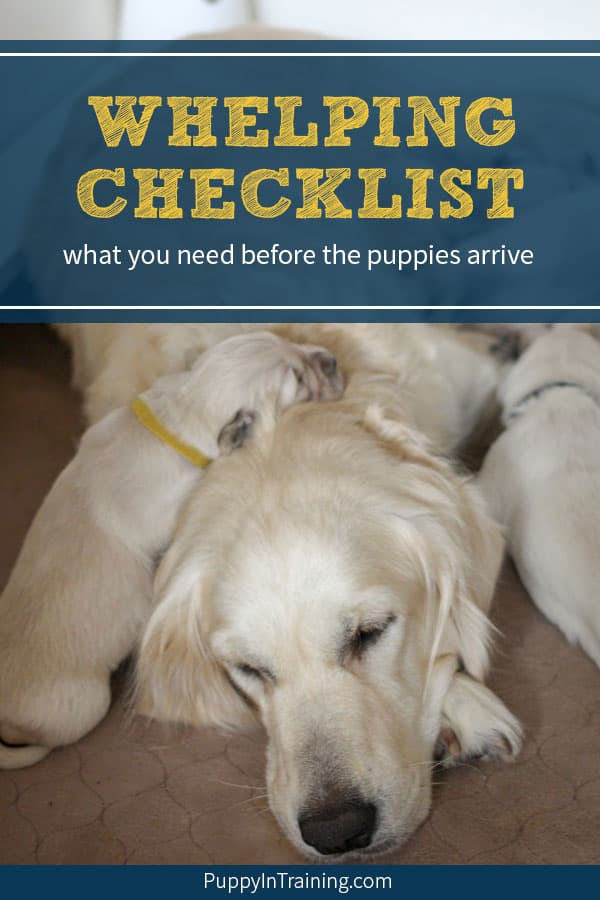 Whelping Checklist - What Supplies Do You Need Before Your Dog Has A Litter  Of Puppies? - Puppy In Training