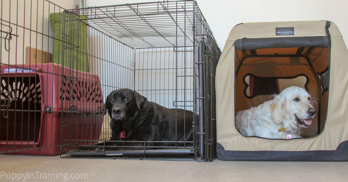 dog crate for labrador puppy