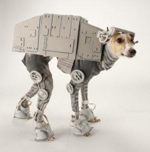 5 Awesome Star Wars Dog Costumes