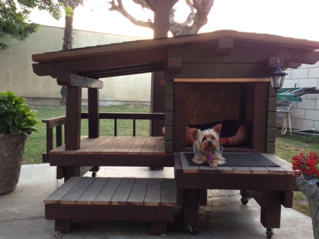 Are You Looking For A Custom Dog House?