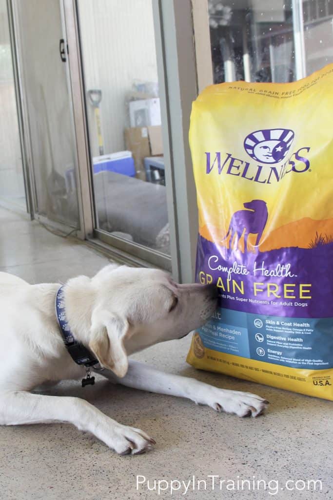 Wellness Complete Health Grain Free Dog Food Review How To Find A Good Dog Food 