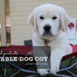 First Look: Carlson Portable Dog Cot Review. We really liked this elevated portable dog cot...