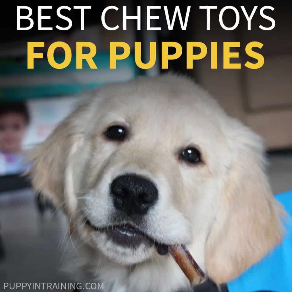 best chew toys for golden retriever puppies