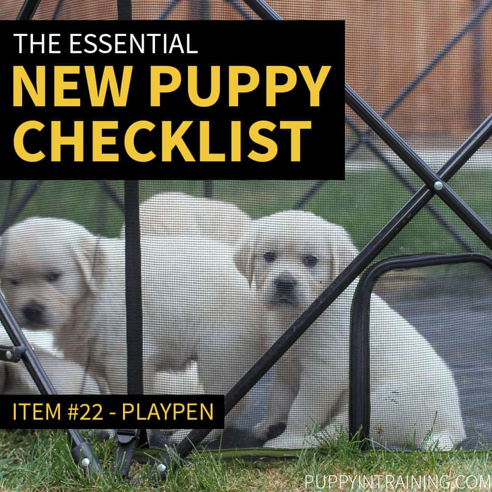 New Puppy Checklist - Puppies In Playpen